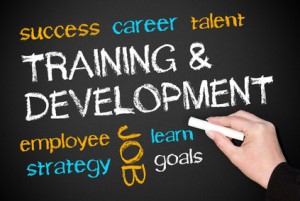 Training and Development - Business